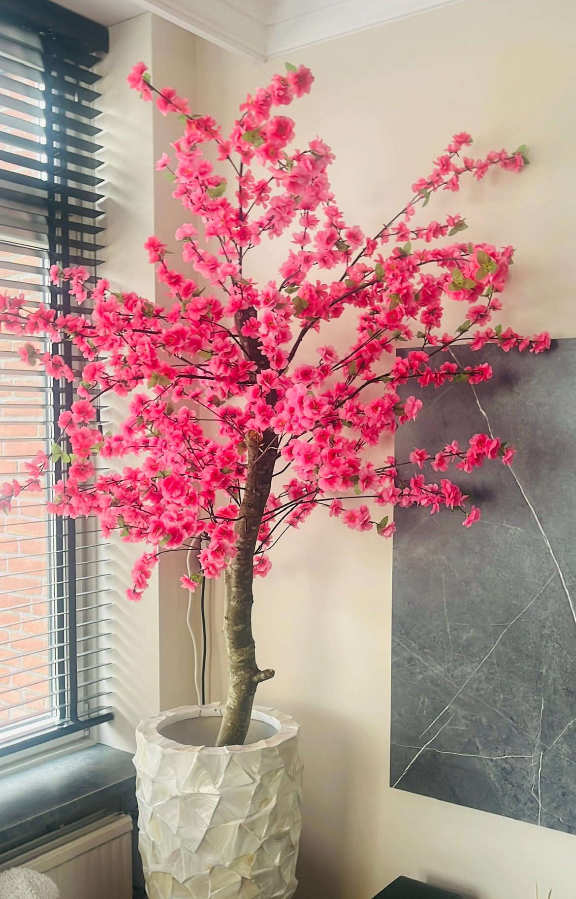 Bloesemboom “LIMA”