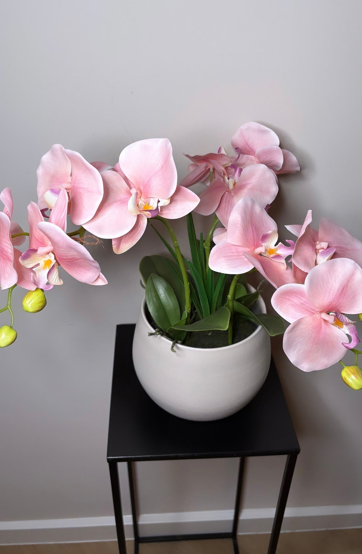 Luxe Orchidee inclusief pot - 30cm -