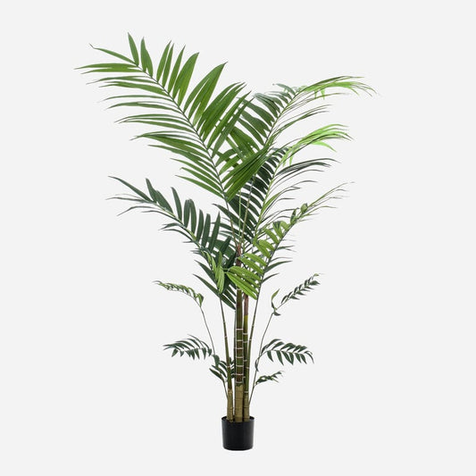 🌿 TROPISCHE SFEER IN HUIS!